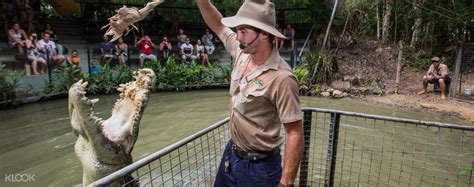 crocodile farm port douglas.